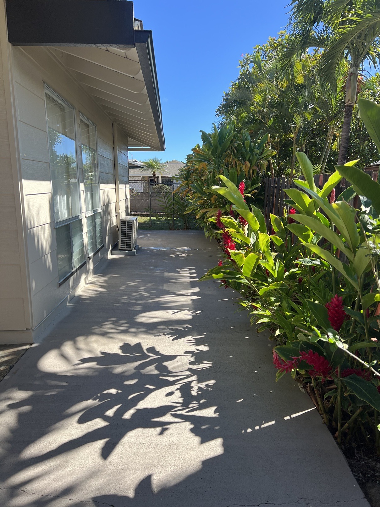 A sunny day with a shadow of a tree on a concrete path.